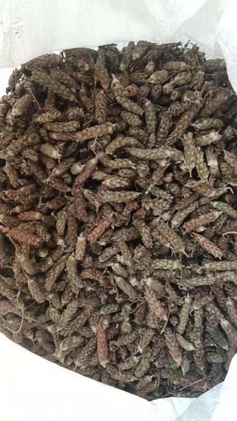 新货夏枯球中药材凉茶泡水泡茶新货晒干无硫无异味