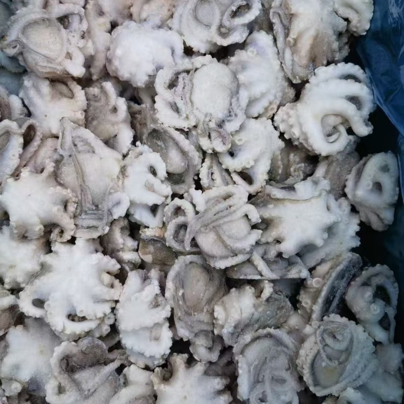 八爪鱼，干冰研磨八爪鱼，现货供应大量批发，可对接各大渠道