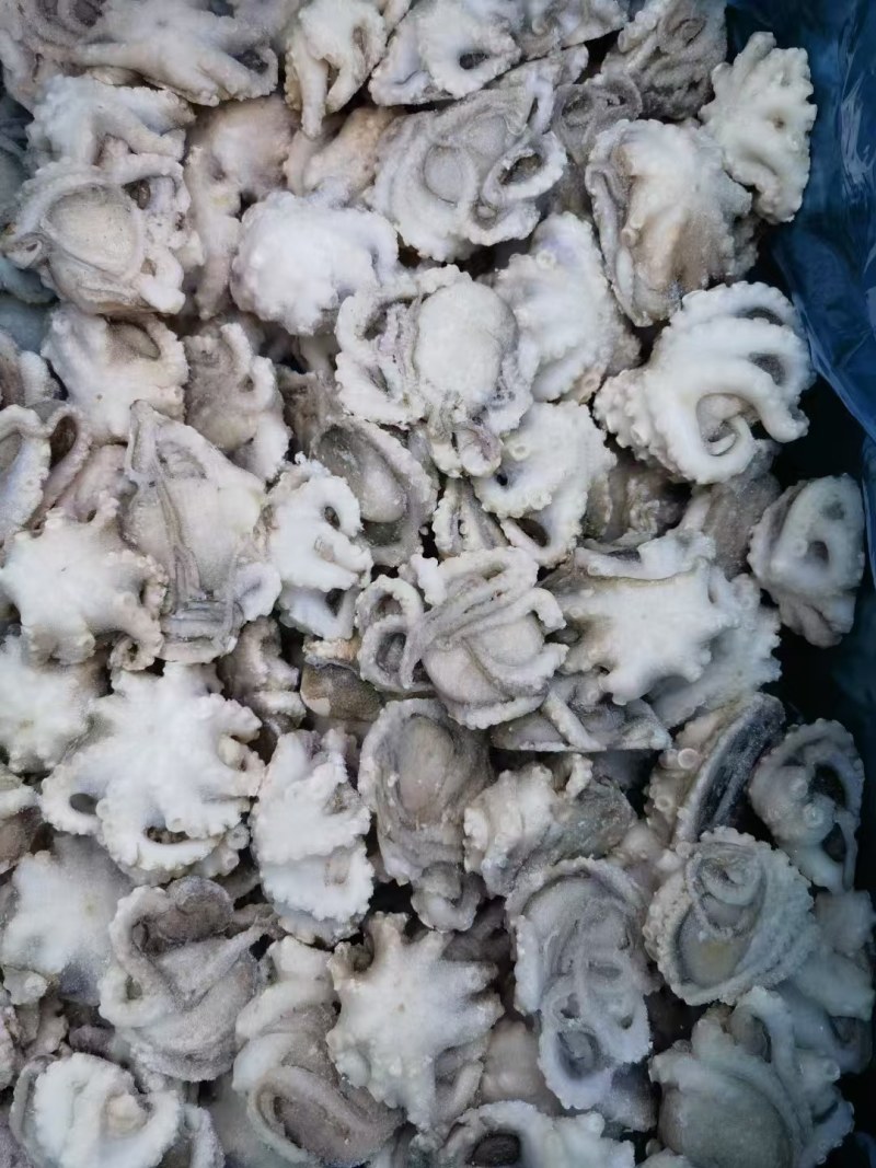 八爪鱼，干冰研磨八爪鱼，现货供应大量批发，可对接各大渠道