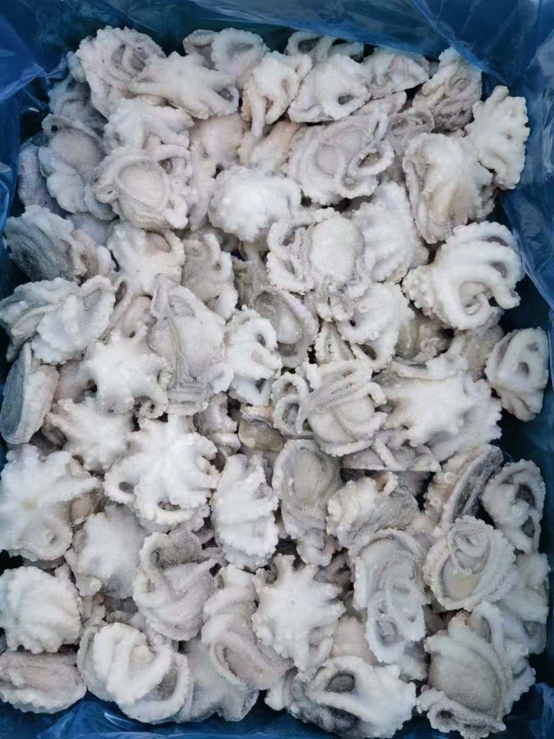 八爪鱼，干冰研磨八爪鱼，现货供应大量批发，可对接各大渠道
