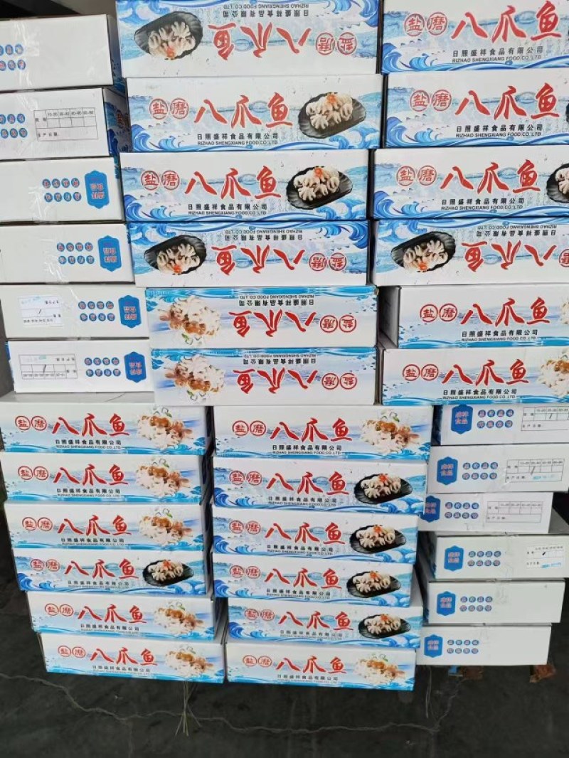 八爪鱼，干冰研磨八爪鱼，现货供应大量批发，可对接各大渠道