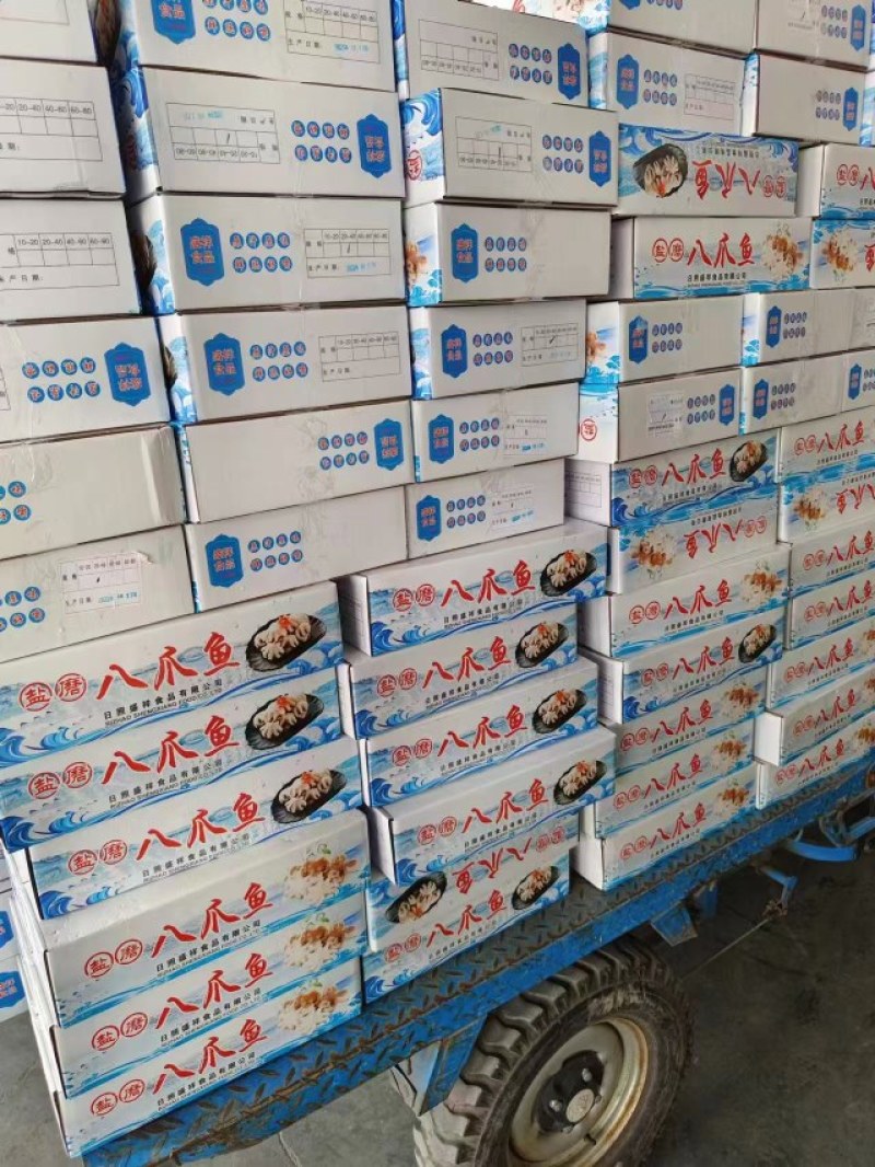 八爪鱼，干冰研磨八爪鱼，现货供应大量批发，可对接各大渠道