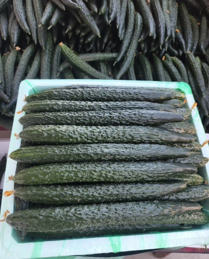 贵州精品黄瓜质量保证