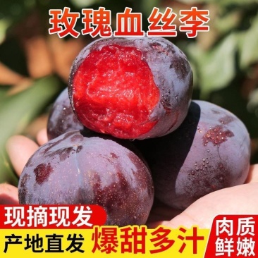 正宗风味玫瑰李红肉李子新鲜时令水果放软撕皮纯甜一件代发