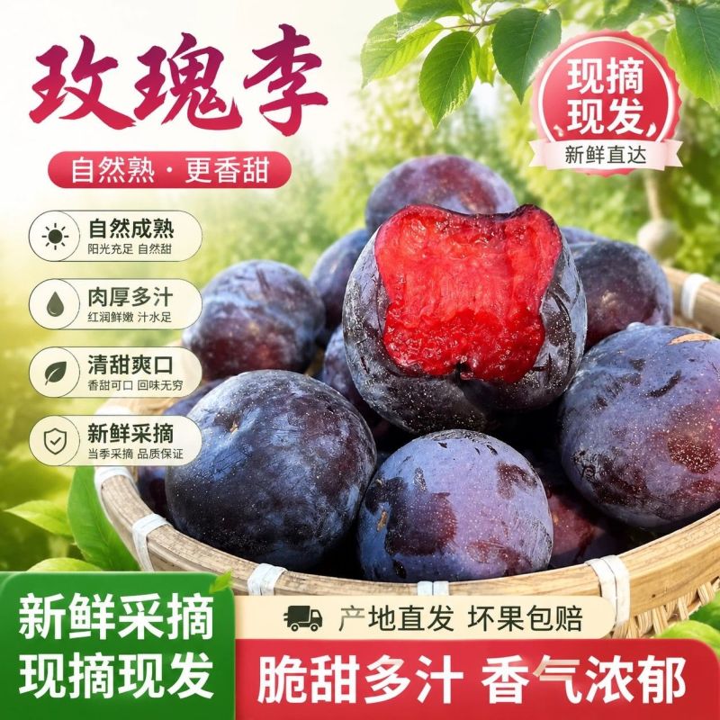 正宗风味玫瑰李红肉李子新鲜时令水果放软撕皮纯甜一件代发