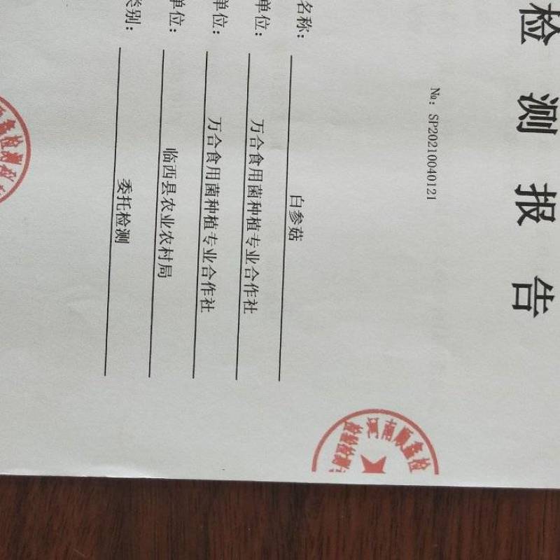 优质野生白参菇