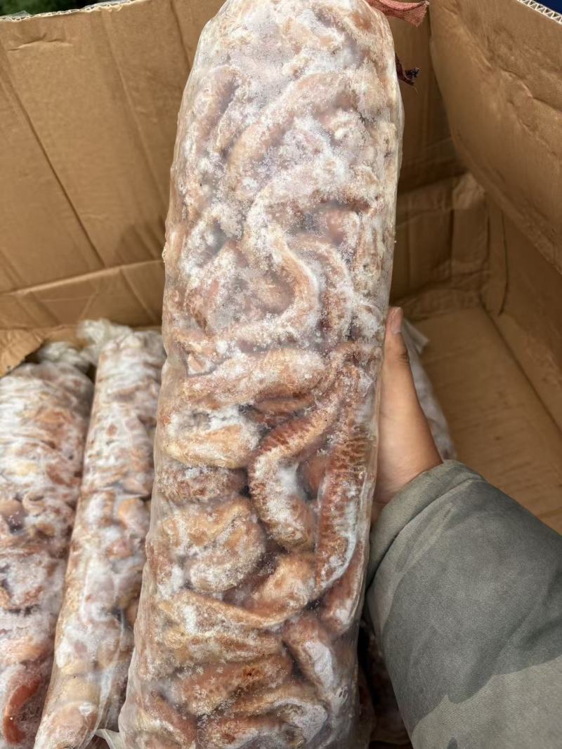 牛圆肠，大量现货，价优适合各种用途，货源稳定