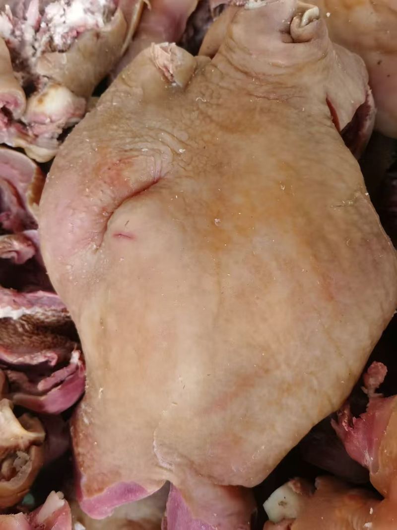 牛头肉，不挖肉，满肉精修，大量现货，货源稳定价优