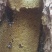 野生蜂蜜