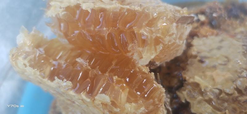 野生蜂蜜