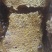 野生蜂蜜