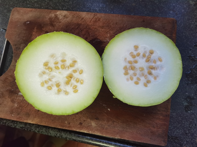 清甜口感粉皮小香芋冬瓜泰丰2号香芋冬瓜种子
