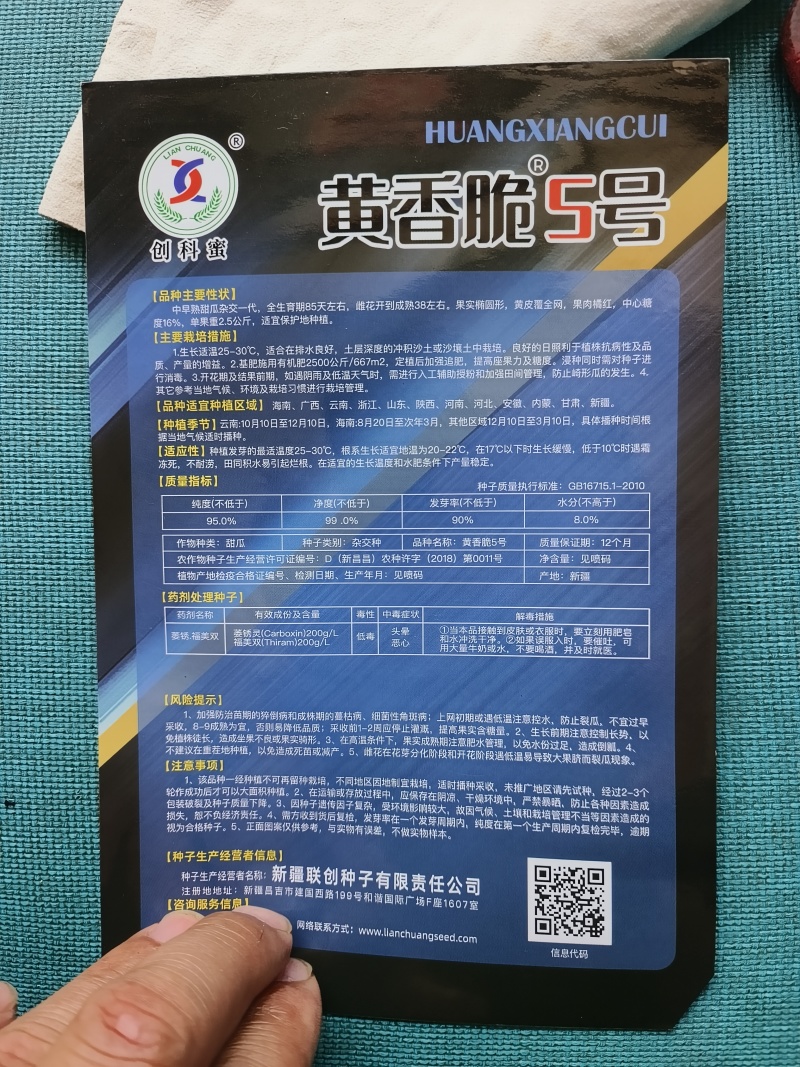 黄香脆5号哈蜜瓜品种单瓜5斤左右果肉橘红16度甜