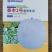 清甜口感粉皮小香芋冬瓜泰丰2号香芋冬瓜种子