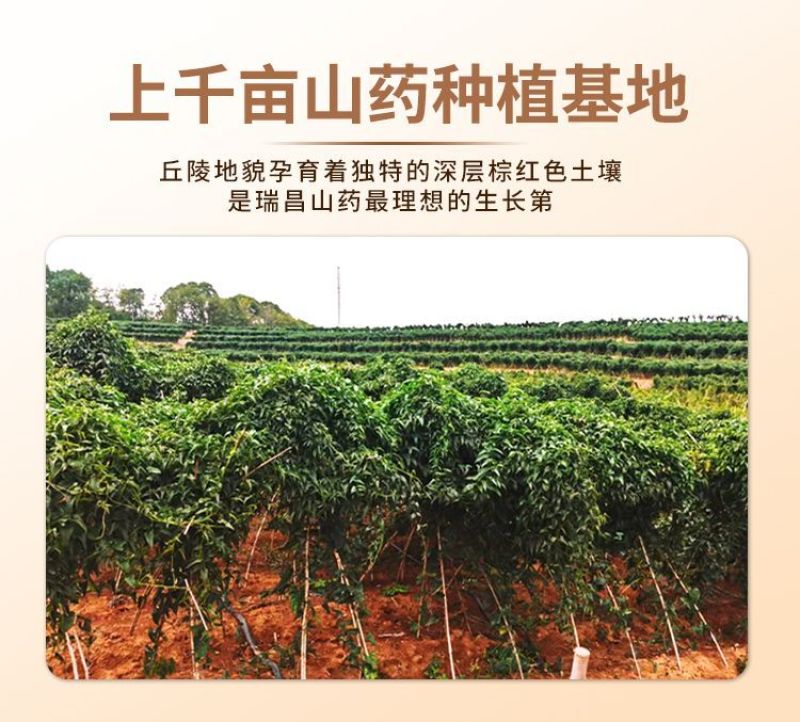 润食康瑞昌山药面3kg