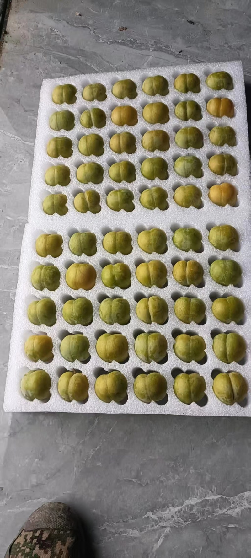 蜂塘李