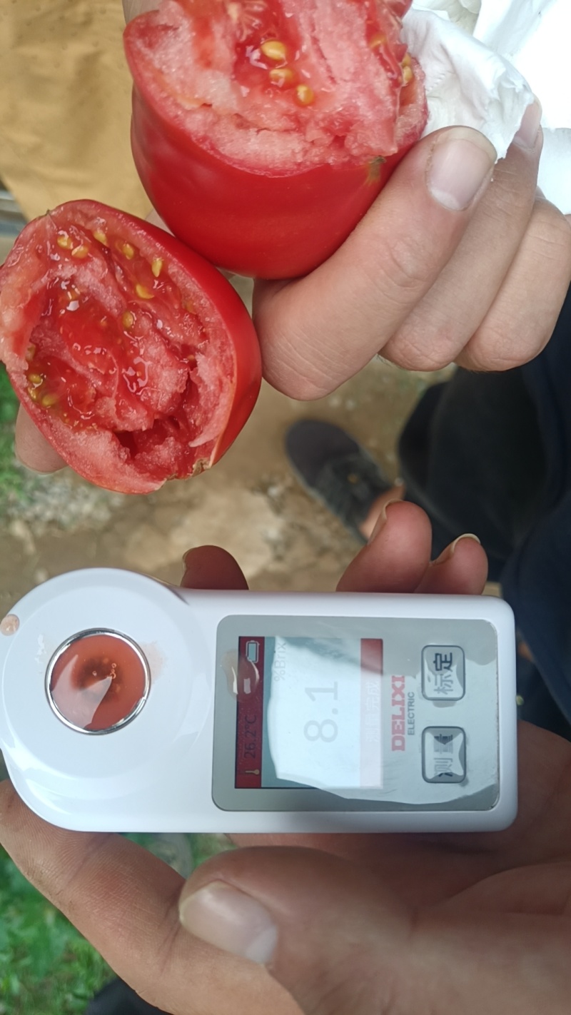 草莓西红柿