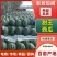 辽宁淩海甜王西瓜，陆地瓜，大量新鲜现货速发，欢迎选购