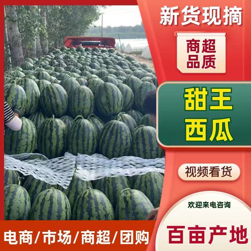 辽宁淩海甜王西瓜，陆地瓜，大量新鲜现货速发，欢迎选购