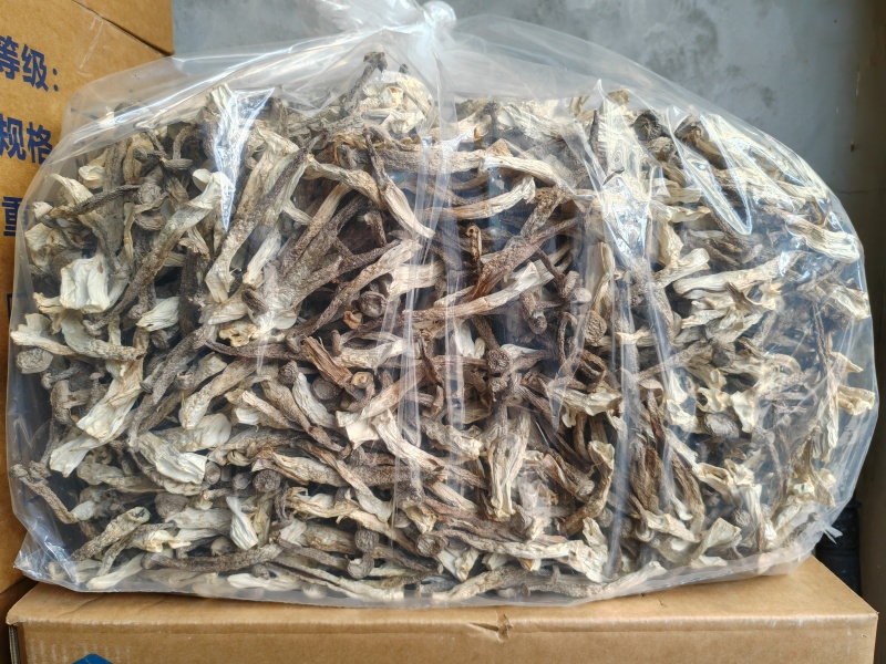 鹿茸菇干货脆脆菇当季新货批发零售量大从优现货支持整车
