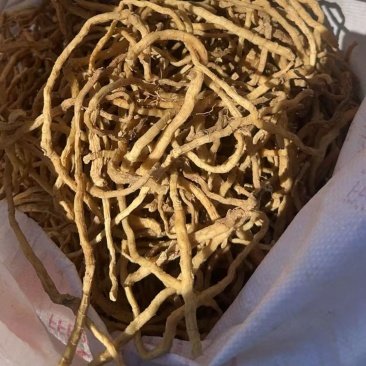大别山野生干玉竹统货干货