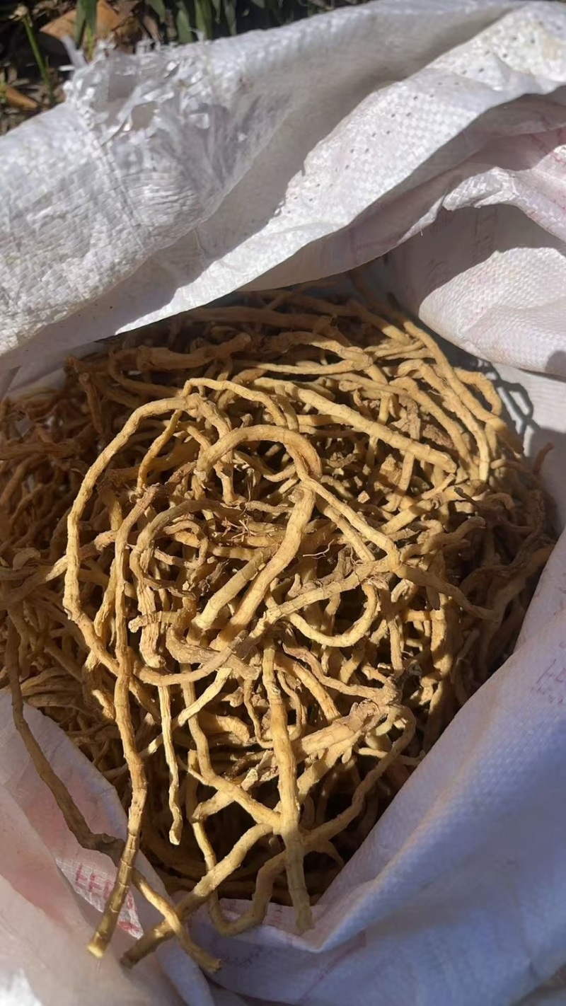 大别山野生干玉竹统货干货