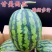 精品佳秀6西瓜甘美4K，甜瓜美浓麒麟。大量上市！