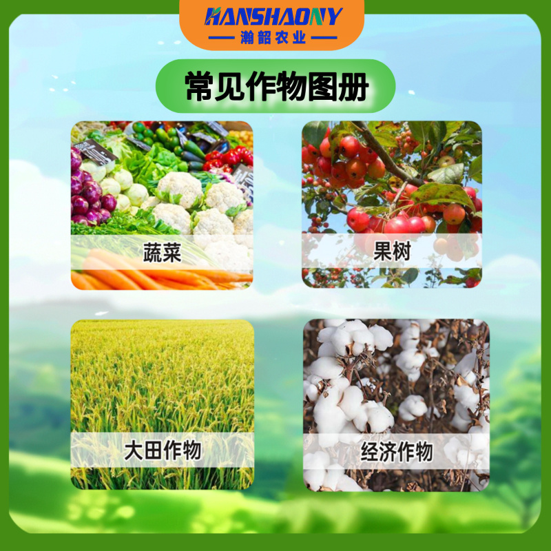 沃巴盾磷酸二氢钾可飞防叶面肥促进农作物生长水溶性肥料