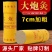 七公分雷火灸大炮灸蕲春发货一手货源产地直发
