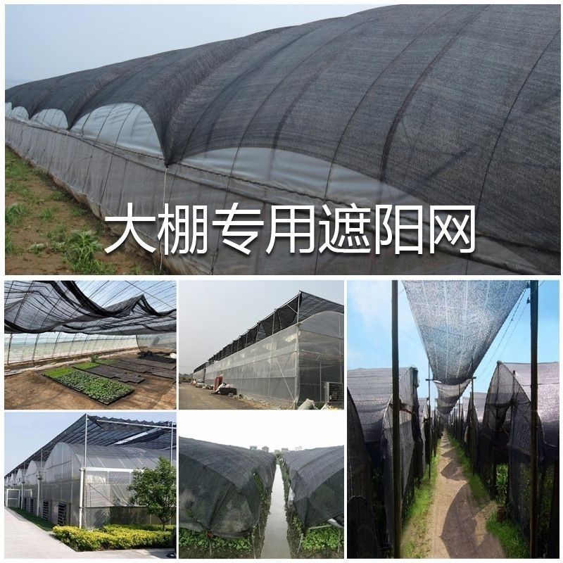 遮阳防晒网加密加厚隔热网黑色大棚降温农用种植养殖遮阳网抗