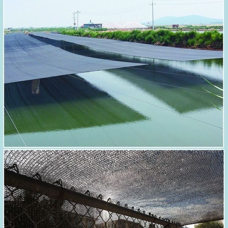 遮阳防晒网加密加厚隔热网黑色大棚降温农用种植养殖遮阳网抗