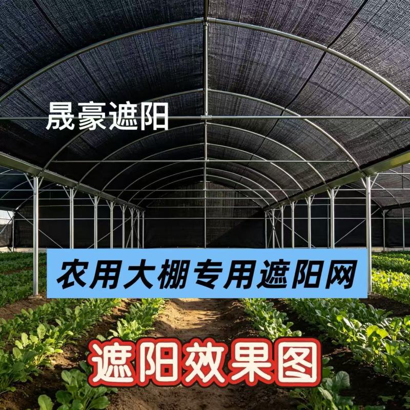 遮阳防晒网加密加厚隔热网黑色大棚降温农用种植养殖遮阳网抗