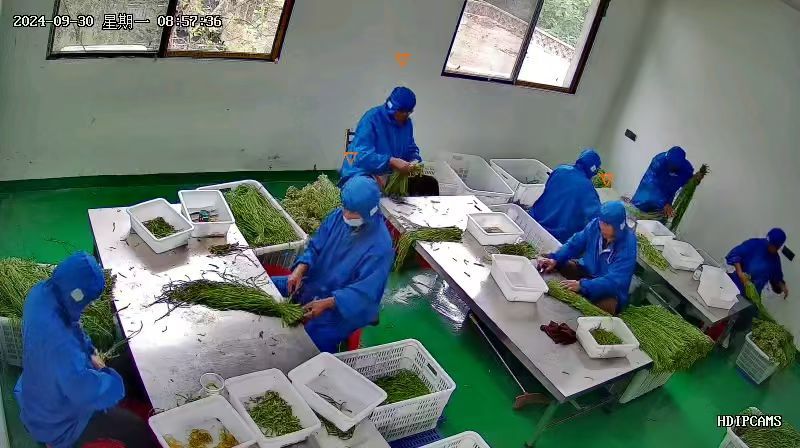 涡阳特产苔干贡菜，一手货源，产地直发，自然凉晒，量大优惠
