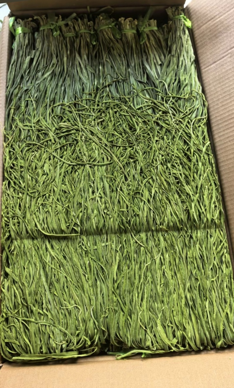 涡阳特产苔干贡菜，一手货源，产地直发，自然凉晒，量大优惠