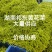 湖南祁东新鲜黄花菜产地直发大量供应批发