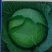山西奥奇娜甘蓝扁包菜大头菜预售产地直供量大从优