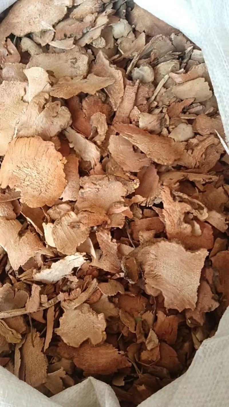 金刚刺拔契