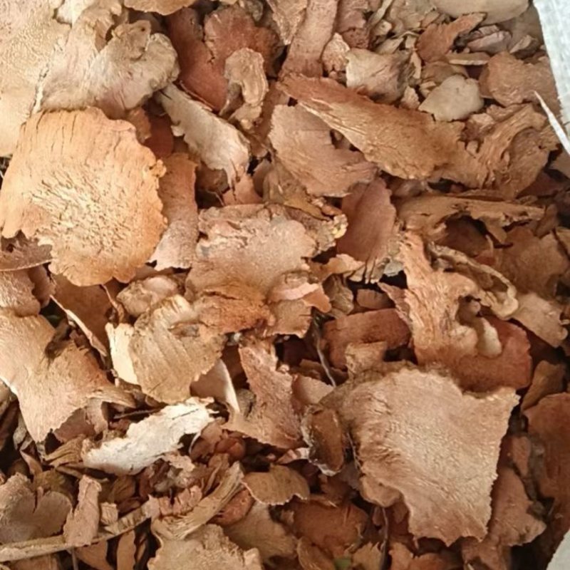 金刚刺拔契