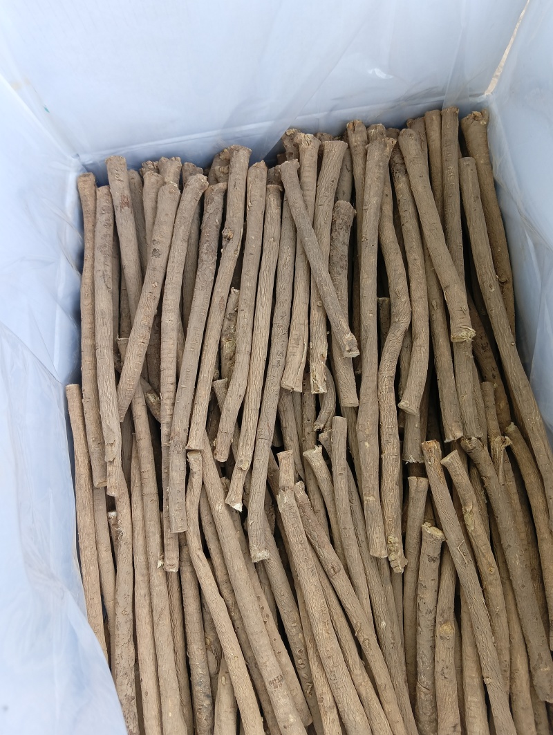 甘肃原产黄芪特大条价格便宜货源充足欢迎来电