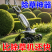 多功能拔草神器除杂草连根工具农用爬子农具耙子锰钢松土铲草