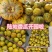 河南精品八里香甜瓜一手货源新鲜采摘现摘现对接市场档口商超