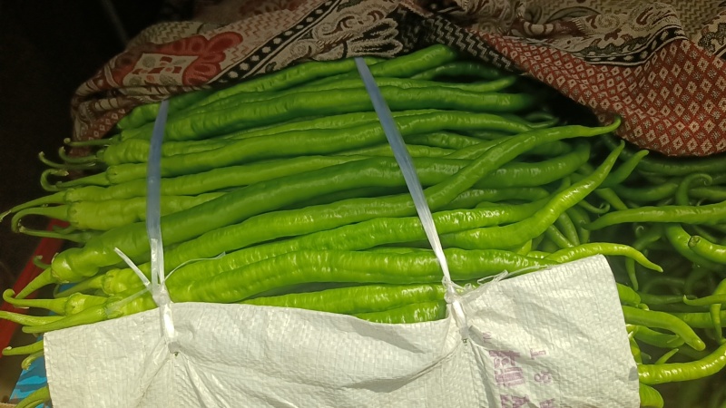 精品线椒大量上市有需要的老板联系