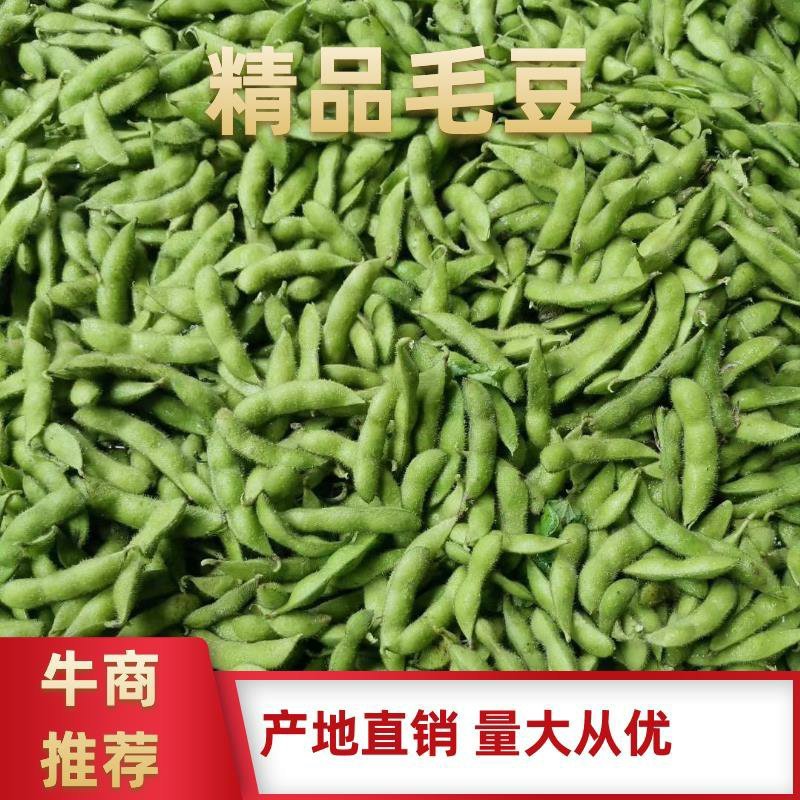 毛豆翠绿宝，绿宝石，开源8号即将上市绿色食品荚大色绿。