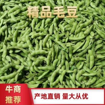 毛豆翠绿宝，绿宝石，开源8号即将上市绿色食品荚大色绿。