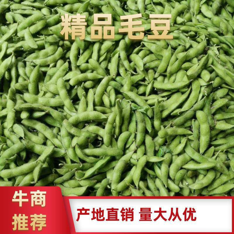 毛豆翠绿宝，绿宝石，开源8号即将上市绿色食品荚大色绿。