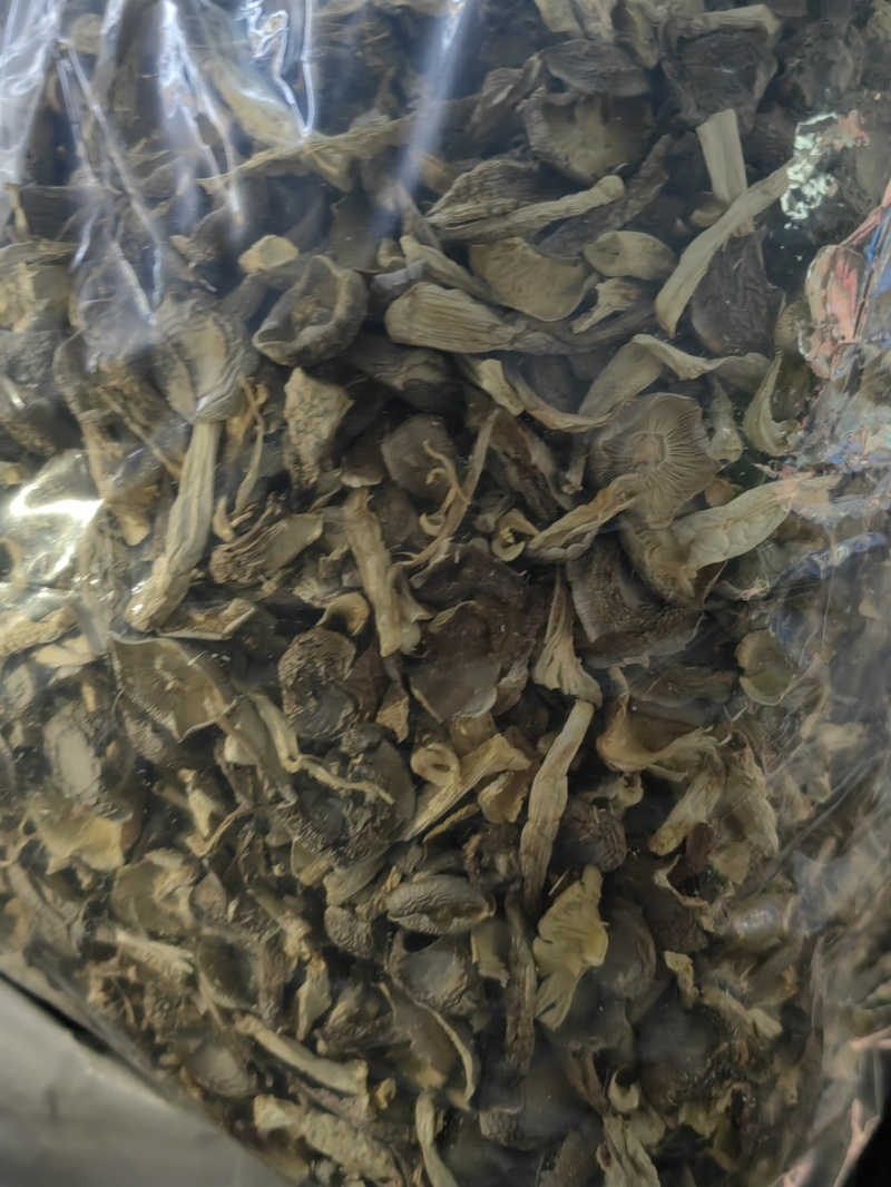 鹿茸菇干干货鹿茸菇中条对接食堂商用无硫味浓新货