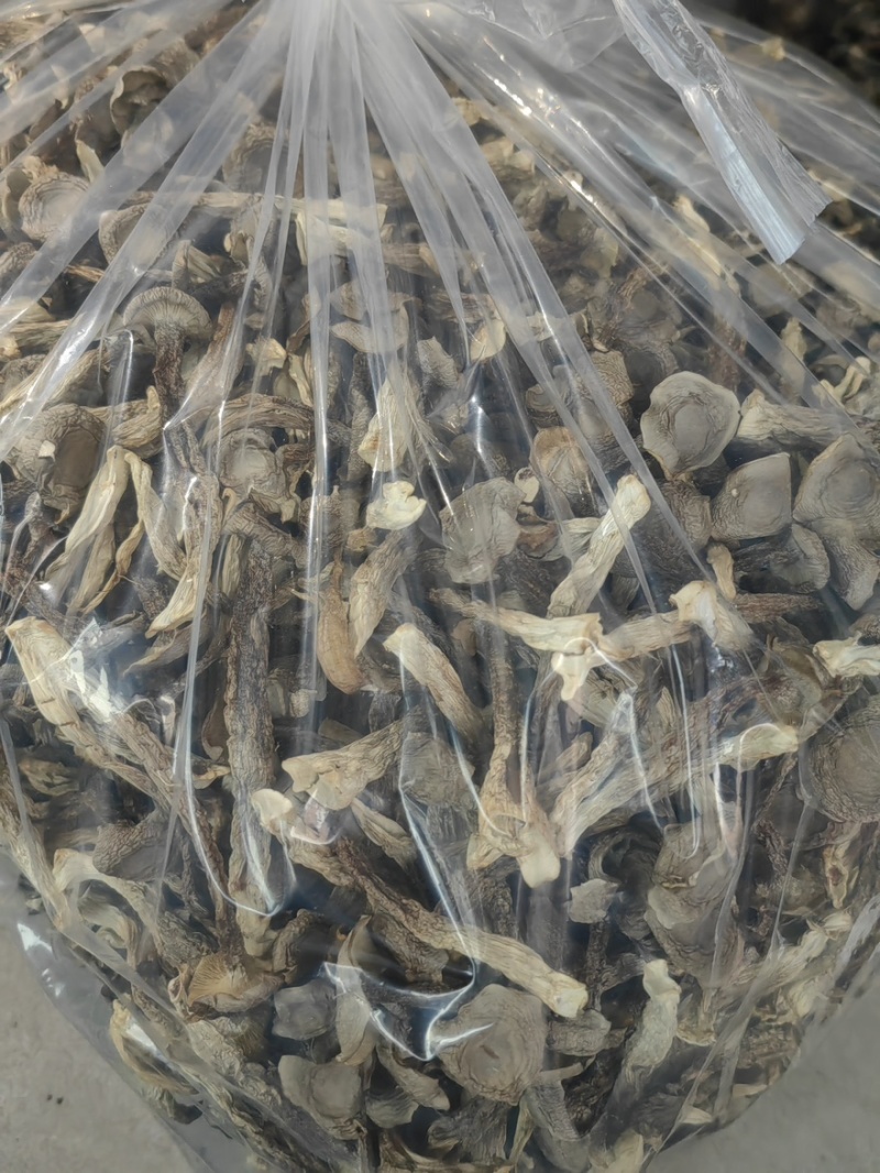 鹿茸菇干干货鹿茸菇中条对接食堂商用无硫味浓新货