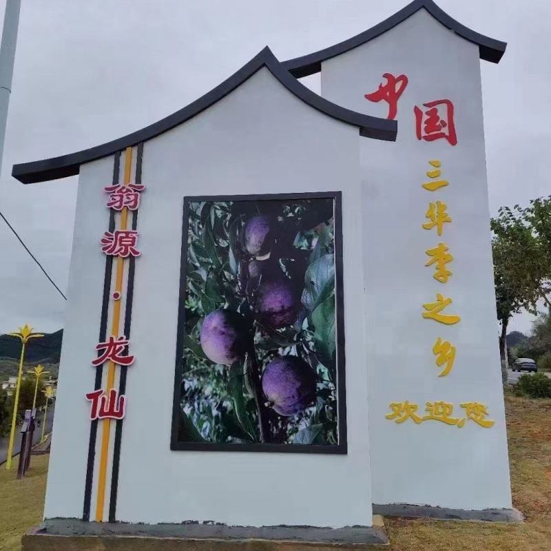 翁源三华李广东省内包邮