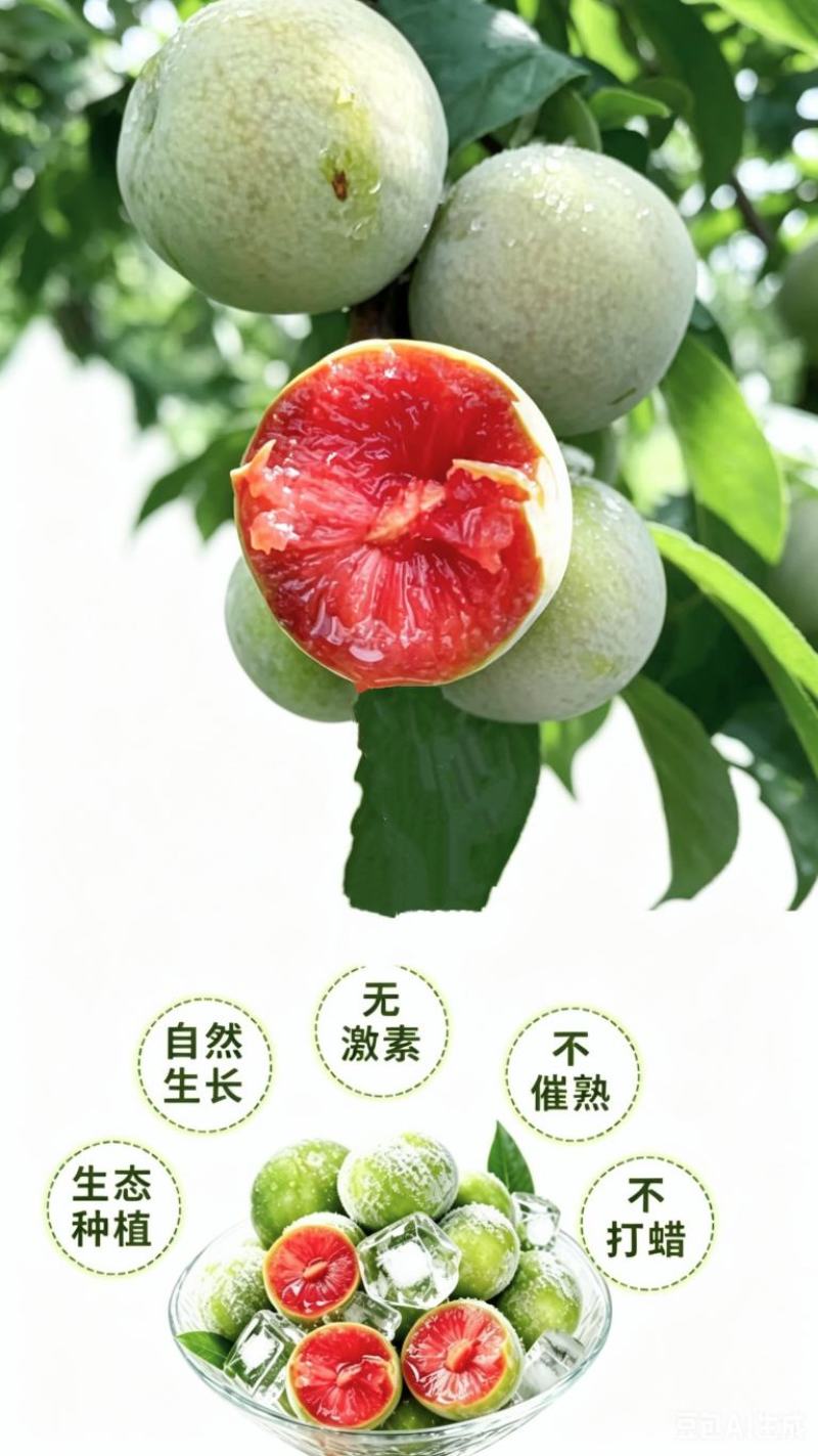 翁源三华李广东省内包邮