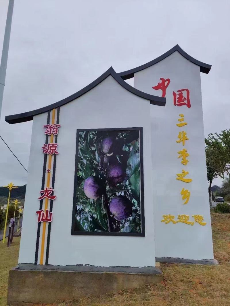 翁源三华李广东省内包邮